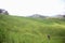 Mountain Farming rice field Background Image