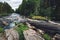 Mountain fast river stream of water in the rocks with green forest in Finland