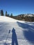 Mountain Feldberg in germany in winter time