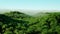 Mountain, field landscape with Palm trees. Jungle. Realistic 4k animation . Aerial view.