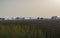 Mountain , Fields and Wetland Reeds Landscape