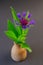 Mountain flake flower, Centaurea Montana in the vase