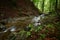 Mountain flow. Serene mountain stream flow in a hidden ravine strewn with fallen leaves in a green forest.