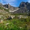 Mountain flower meadow. Alpine summer highlands. Path through a mountain gorge. Blooming meadow of the highlands. Green nature