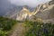 Mountain flowers in the background of the Odle massif. Dolomites