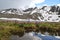 Mountain flowers. An oasis in the mountains. Flowers on the background of the snow-capped Altai mountains. Spring in the mountains