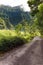 Mountain in a fog and clouds and road. Tropical nature. Tahiti. Polynesia.