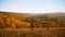 Mountain forest with green, yellow and orange autumn leaves, nature masterpiece on cloudy and misty October morning