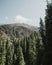 mountain forest in Kegety