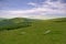 Mountain forest meadow and peaks