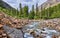 Mountain forest at the small Siberian river