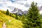 Mountain forest trail lane, Peitlerkofel, South Tyrol Italy