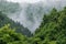 Mountain and Forest view