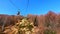 The mountain forests, Mount Cimetta, Ticino, Switzerland