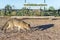 Mountain Fox on El Palmar National Park, Argentina