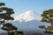Mountain Fuji Fujisan from Kawaguchigo lake with bonzai tree in