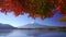 Mountain fuji with red maple in Autumn, Kawaguchiko Lake, Japan