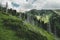 mountain Furmanov peak in summer landscape with dead trunks of fir in Almaty, Kazakhstan,