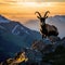 mountain goat , ibex perch on a rocky outcrop, overlooking a breathtaking landscape.