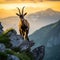 mountain goat , ibex perch on a rocky outcrop, overlooking a breathtaking landscape.