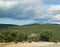 Mountain goats in the Ardeche Gorge, France