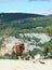 Mountain goats in the Ardeche Gorge, France