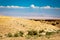 Mountain goats herd feeding desert mountain cliiffs