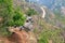 Mountain goats standing on a cliff