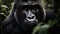 Mountain gorilla in the forest. Generative AI