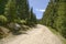 Mountain gravel road