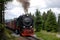 Mountain Harz,Germany