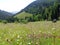 Mountain hay meadows in the Gyimes region Transylvania