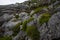Mountain hike, detail of rocks and vegetation, interesting geology