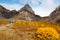 Mountain Hiking in the Canadian Rockies