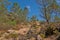 Mountain hiking trail in the Portuguese countryside