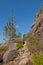 Mountain hiking trail in the Portuguese countryside