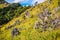 Mountain hill with rocks  grasses and  clear blue sky background