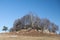 Mountain hill with rocks and trees