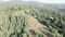 Mountain hills, aerial drone view. Epic mountains landscape against blue sky. Pine trees forest and meadows in mountains. Ukrainia