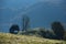 Mountain homestead in the autumn. Countryside thatched roof houses, barn