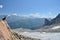 Mountain Ibex and glacier
