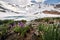 Mountain Lake with alpine flowers in Kazakhstan