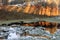 Mountain lake in autumn Caucasus mountain forest at sunset. Beautiful scenic snow landscape with water reflections and long sunset