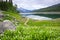 Mountain lake in Jasper National Park, Canada