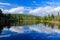 Mountain lake during summer day, devastated forest Bavarian Forest National Park. Beautiful landscape with blue sky and clouds, Ge