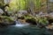 Mountain lake waterfall in deep forest