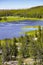 Mountain lake with yellow water lilies, Yellowstone National Park