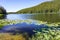 Mountain lake with yellow water lilies, Yellowstone National Park