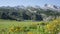 Mountain lakes and beautiful landscape, Lakes of Covadonga, Peaks of Europe