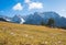 Mountain landscape with alpine crocus meadow, blue sky with clouds